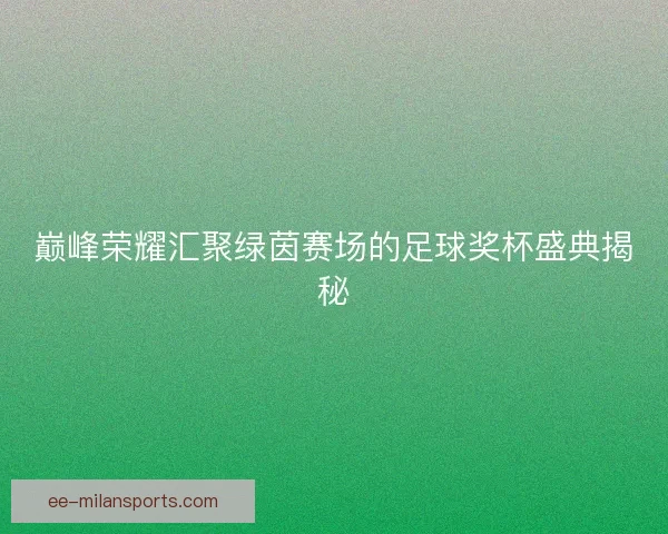 巅峰荣耀汇聚绿茵赛场的足球奖杯盛典揭秘